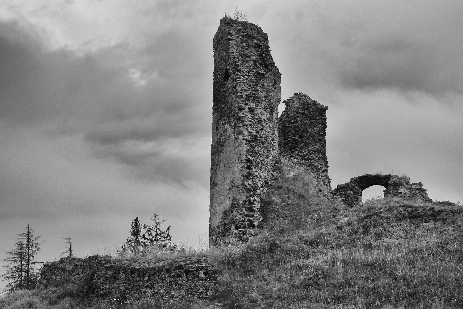 _DSC0434bw
