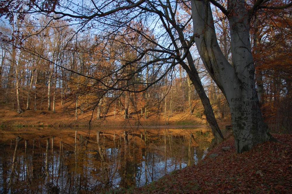 Pohled pře zámecký rybník